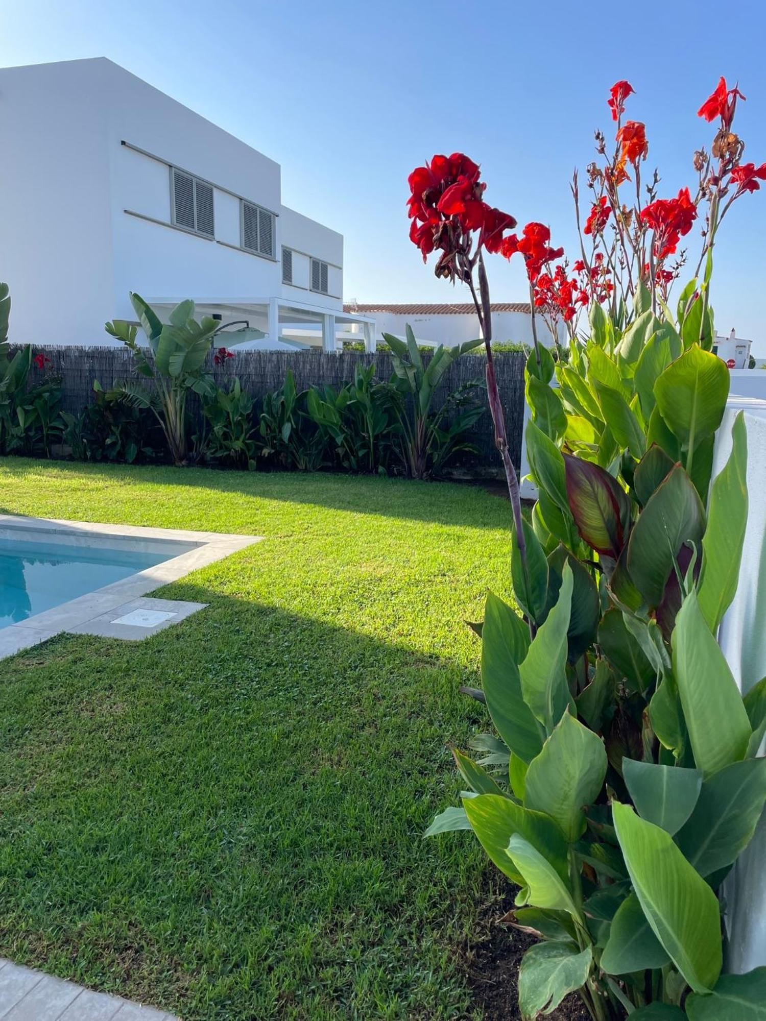 Villa D'Aina * Propiedad Privada Con Piscina Cala en Bosch Dış mekan fotoğraf